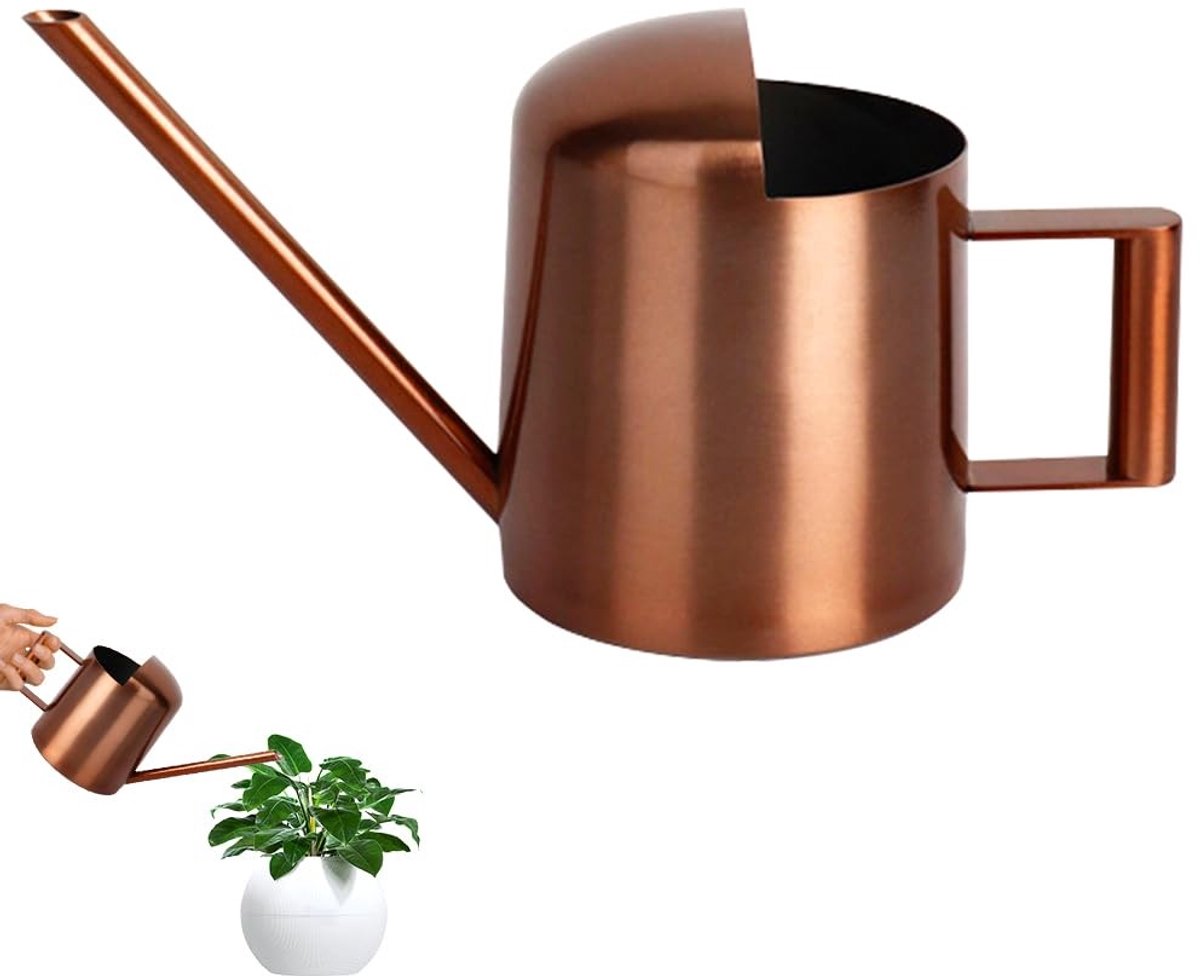 Dailygoods - Mini gieter van roestvrij staal - 300 ml gieter voor kamerplanten en tuin