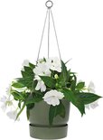 Elho Greenville hangsschaal, bladgroen, gevuld met witte bloemen en groene bladeren, met zilveren kettingen.