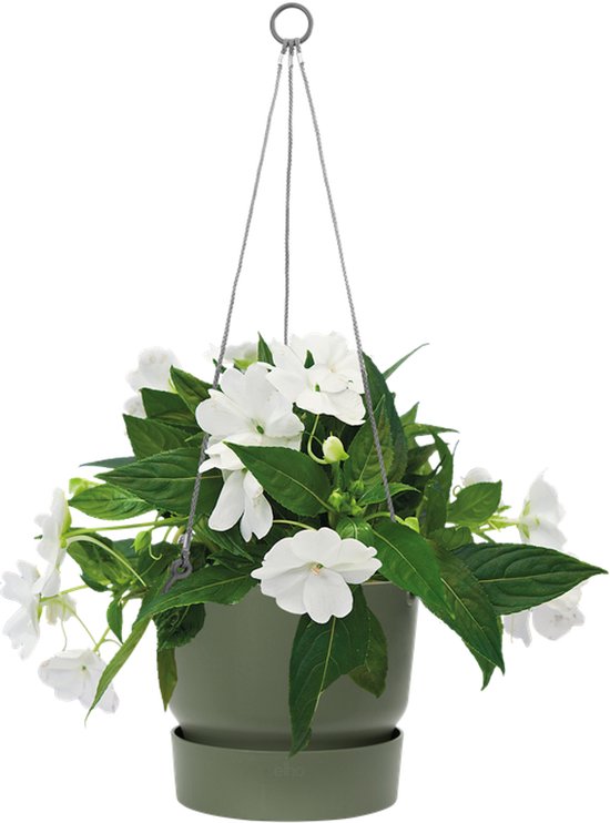 Elho Greenville hangsschaal, bladgroen, gevuld met witte bloemen en groene bladeren, met zilveren kettingen.