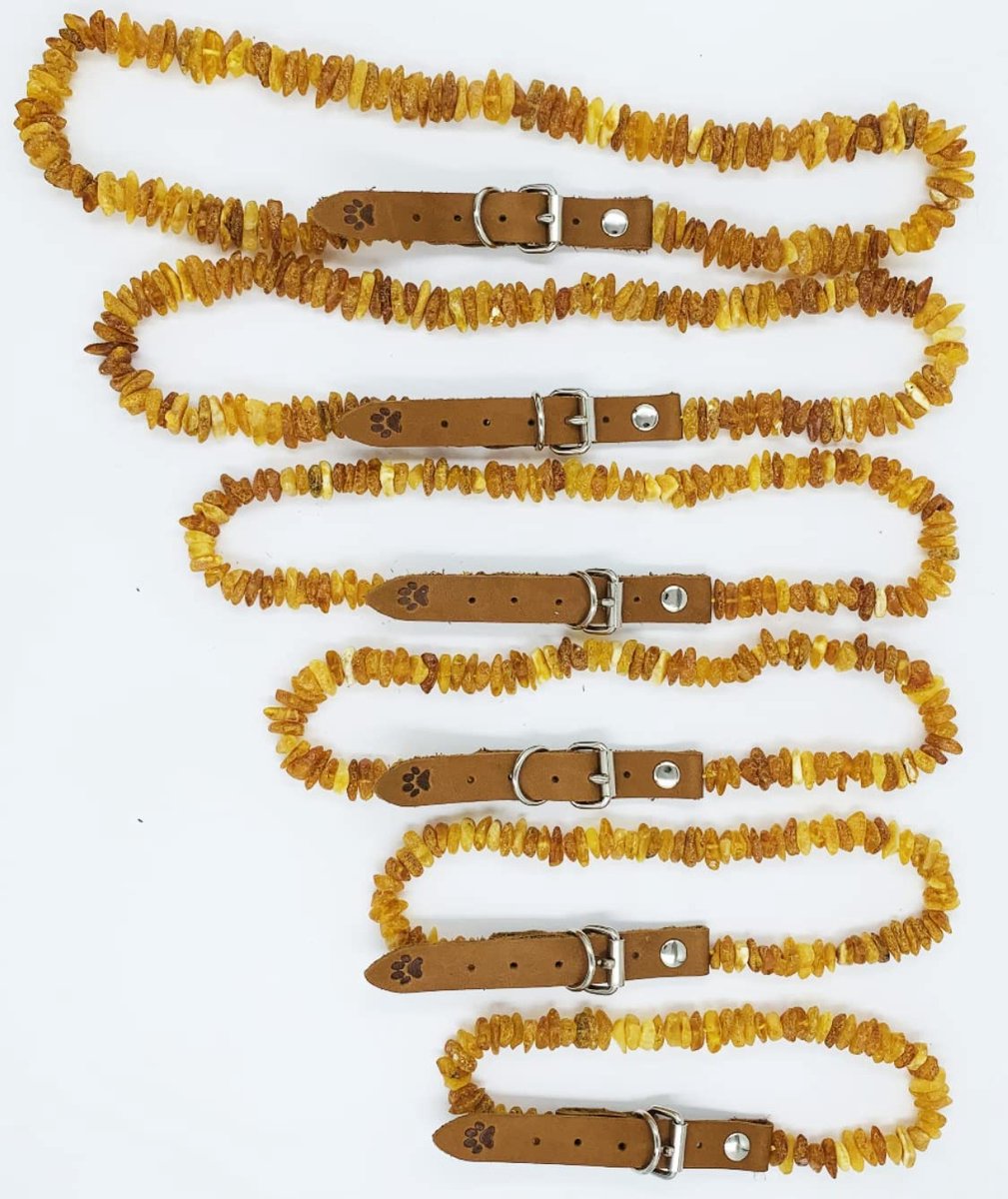 SnelShoppen - Amber Halsbanden voor Honden - Natuurlijke Baltische Amber Ruwe Kralen 25-30cm - Antivlooien, Antiallergisch, Dog Accessories, Hondenhal