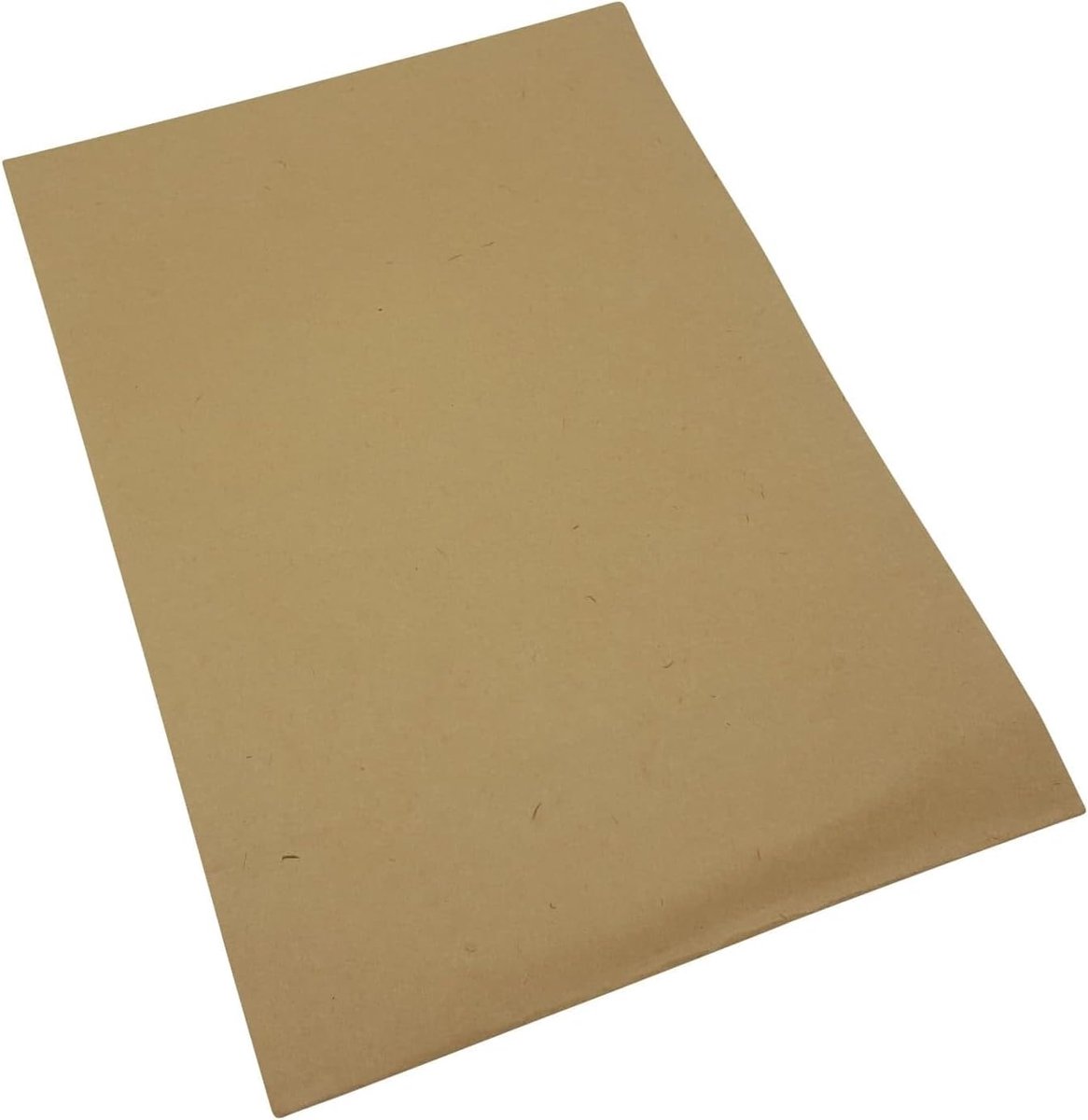 Stofzuigerzakken - Stofzakken Papier - Stofzuigen - Dubbellaags Papier - 10 stuks - Wit