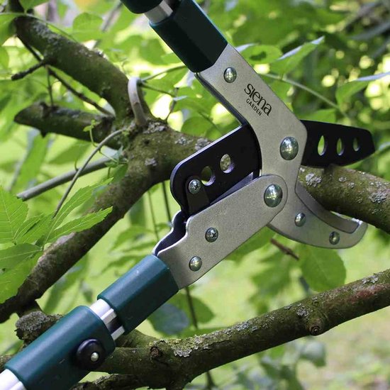 Takkenschaar telescopische Pro aluminium aambeeld takkenschaar - 358328 - kopen online takkenschaar telescopische van Pro — afbeelding 4