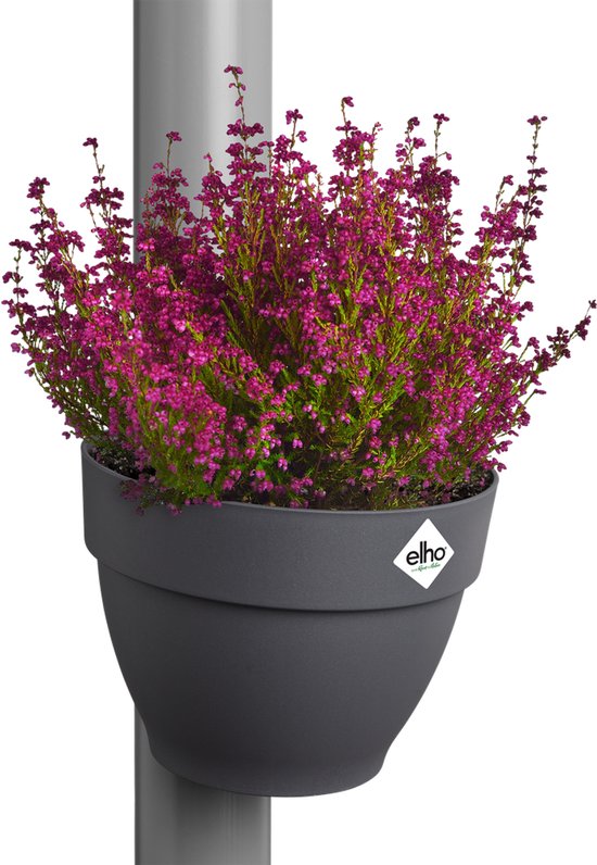 Donkergrijs regenpijpbakje gevuld met roze bloemen.