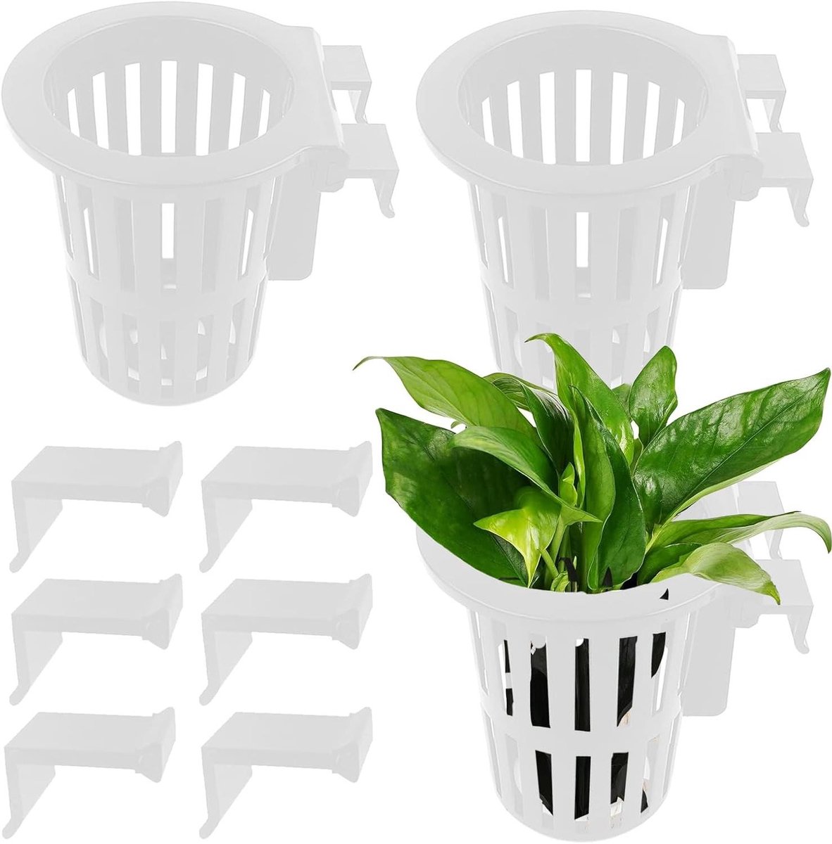 Vijverplant Manden - Aquarium Plantenbak - Aquarium Decoratie - Zuurstofrijk Water - 3.9 inch diep - Wit