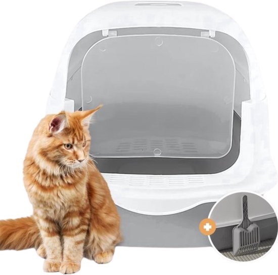 Chat orange assis à côté d'une litière blanche à fond gris. Une pelle grise est visible.
