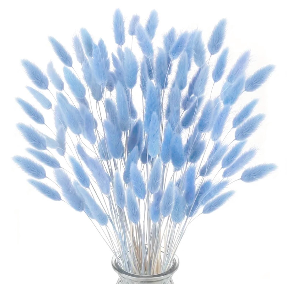 SolidKeus - 120 Stuks Gedroogde Konijnenstaartbloemen voor Decoratie
