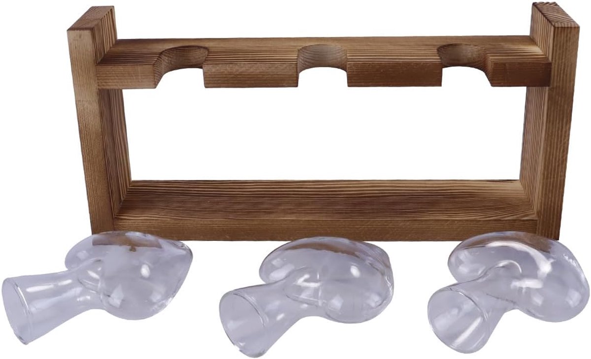 Bloemenvaas met vintage houten frame, set voor binnenhuis, keuken, raam, bureaudecoratie, 3 knoppenvazen, terrariumplanten voor hydrocultuur, kruiden