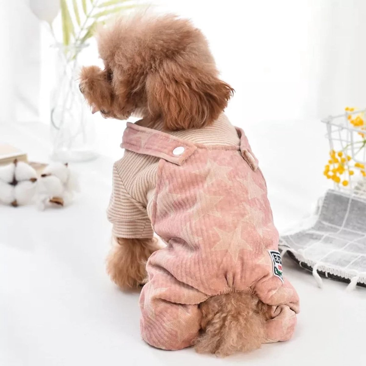 Star Jumpsuit Kleding voor Honden Winter Warm Dikke Huisdier Parka's Snot Trainingspak Kostuums Puppies Dieren Chihuahua Poedle Honden Of Katten Halloween