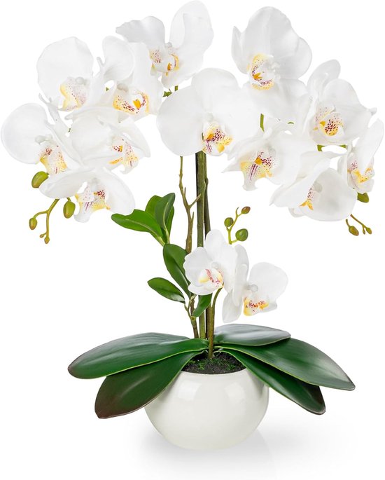 Kunstorchideeën in Hoogglans Keramische Pot (40 cm) - Levensechte Kunstbloemen, Orchidee