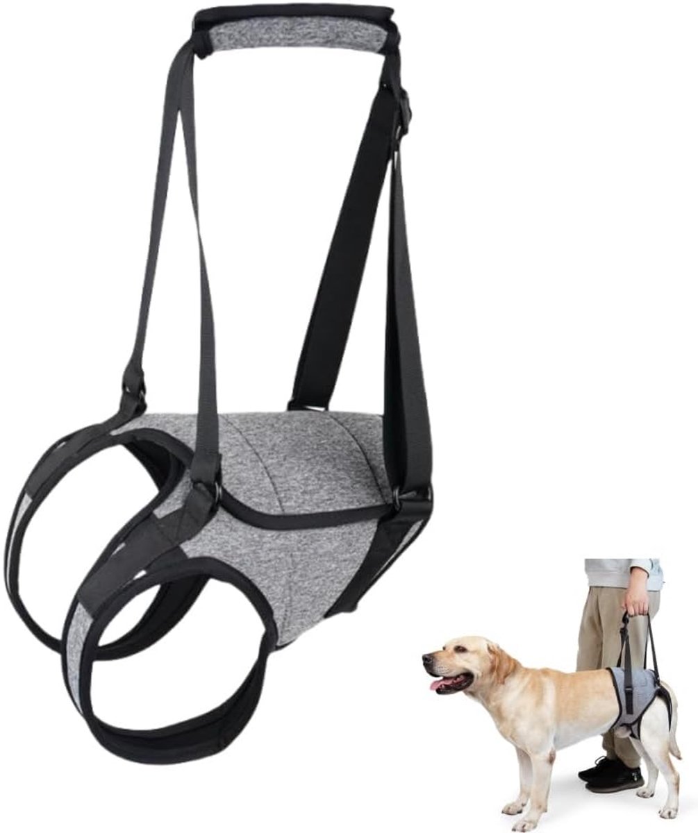 Veiligheidsgordel voor honden, veiligheidsgordel voor honden achter, ter ondersteuning van de revalidatie van het ruggenmerg, geschikt voor lichaamsgewicht 17,5 - 26 kg, grijs, L