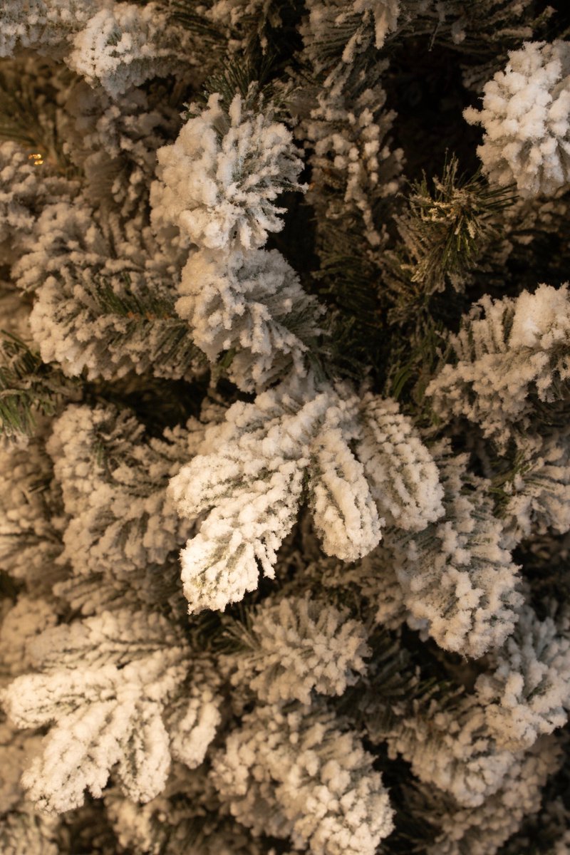 Black Box Trees Harma Pilaarvorm Kerstboom - Kunstboom met Besneeuwde Afwerking - Kerstversiering voor Binnen - Smal Model met 989 Takken - H230 x Ø69 cm - Groen Frosted – foto 5