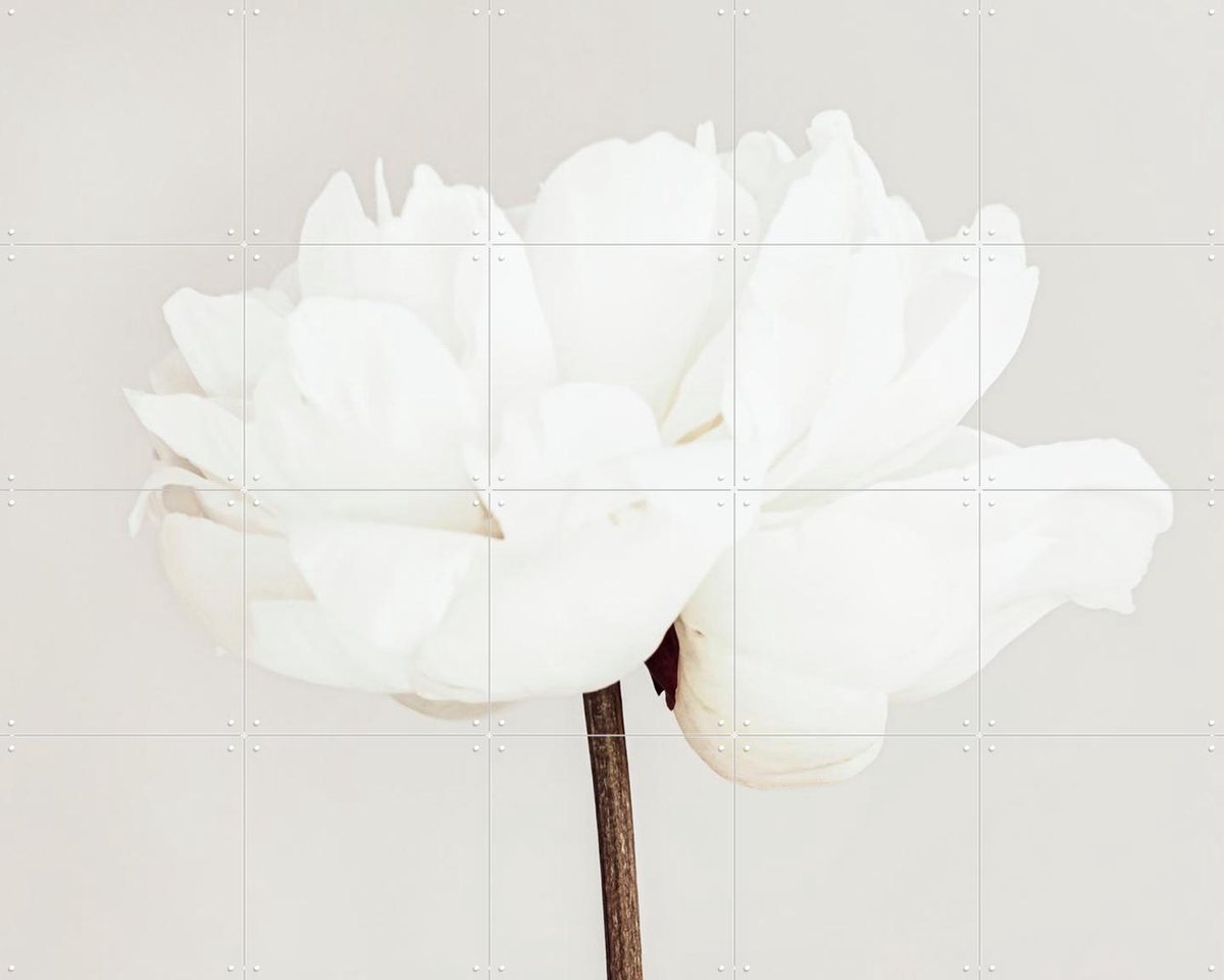IXXI White Bloom Serenity, 1x Studio II & Various - 100 x 80 cm - Gratis ophangtool - Grote wanddecoratie en posters - Abstract, Woonkamer