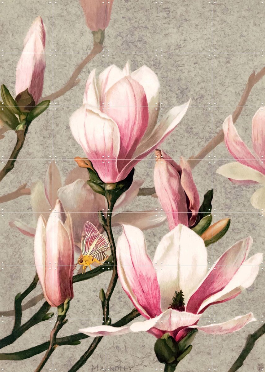 IXXI Magnolia, Moonheart Artworks - 100 x 140 cm - Gratis ophangtool - Grote wanddecoratie en posters - Vintage, Woonkamer, Slaapkamer, Bloemen
