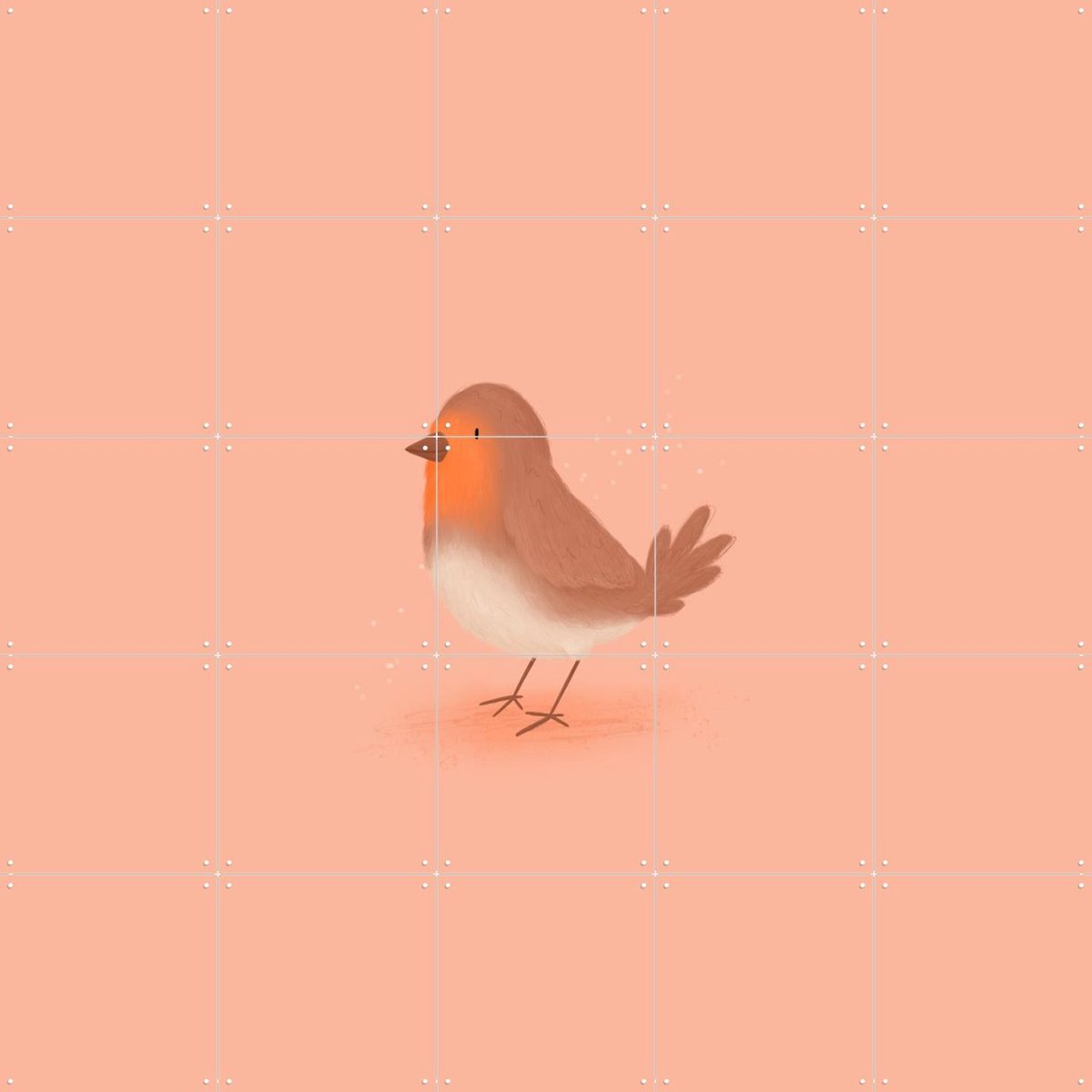 IXXI Robin, Studio Phie - 100 x 100 cm - Gratis ophangtool - Grote wanddecoratie en posters - Illustraties, Babykamer, Kinderkamer, Vogels, Dieren
