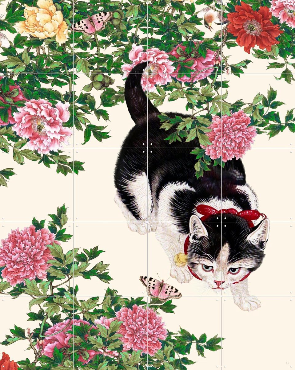 IXXI Butterflies, Be Aware, Marja van den Hurk - 80 x 100 cm - Gratis ophangtool - Grote wanddecoratie en posters - Vintage, Illustraties, Gang, Kat