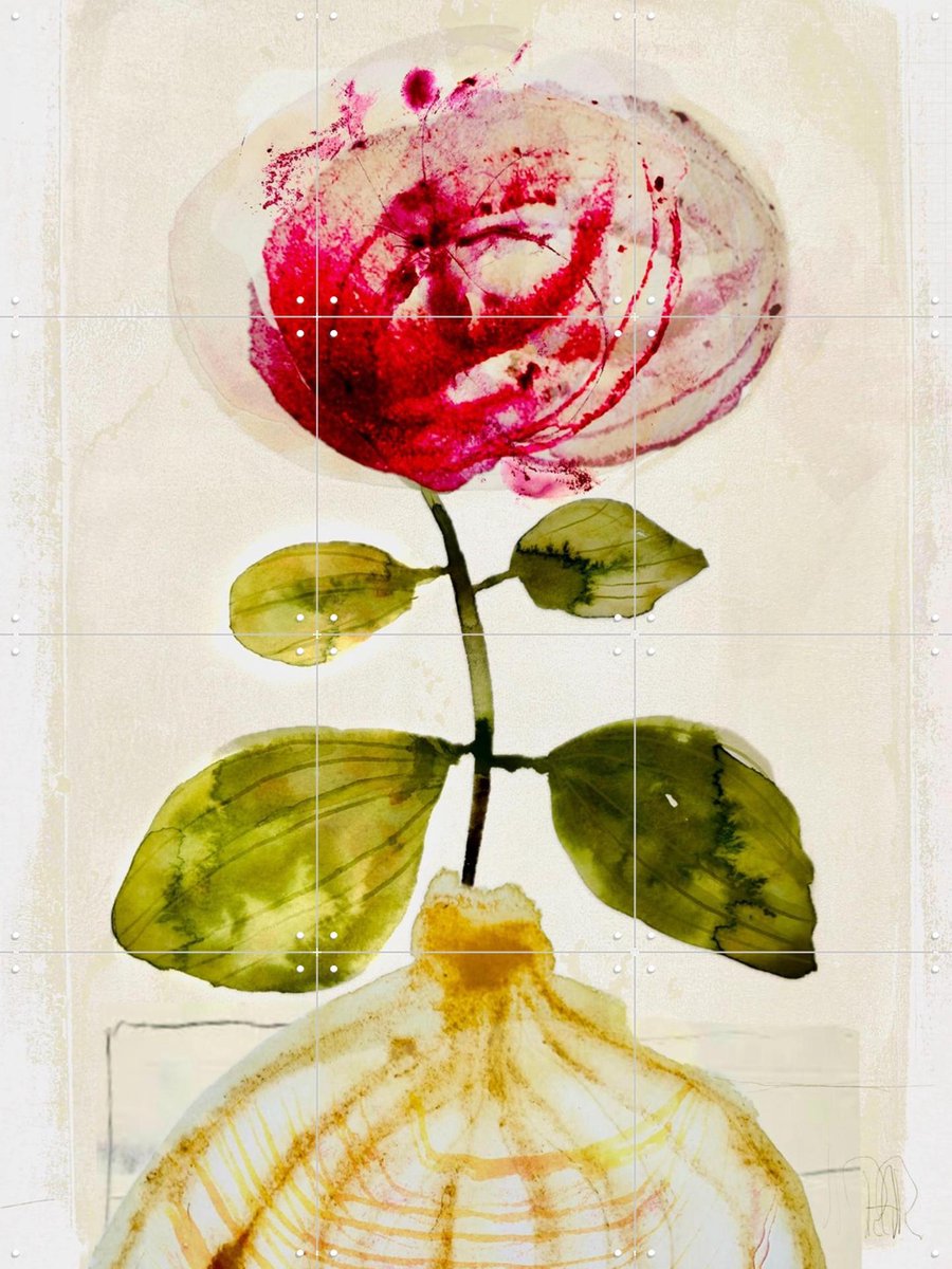 IXXI Pink Peony, RAR Kramer - 60 x 80 cm - Gratis ophangtool - Grote wanddecoratie en posters - Gemengde Technieken, Aquarel, Eetkamer, Woonkamer
