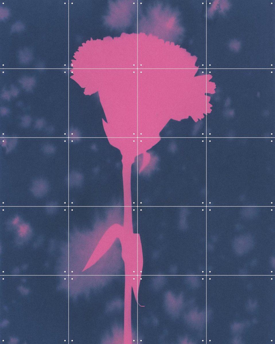IXXI Flower Girl, Amber Lauder - 80 x 100 cm - Gratis ophangtool - Grote wanddecoratie en posters - Fotografie, Woonkamer, Slaapkamer, Trap, Gang