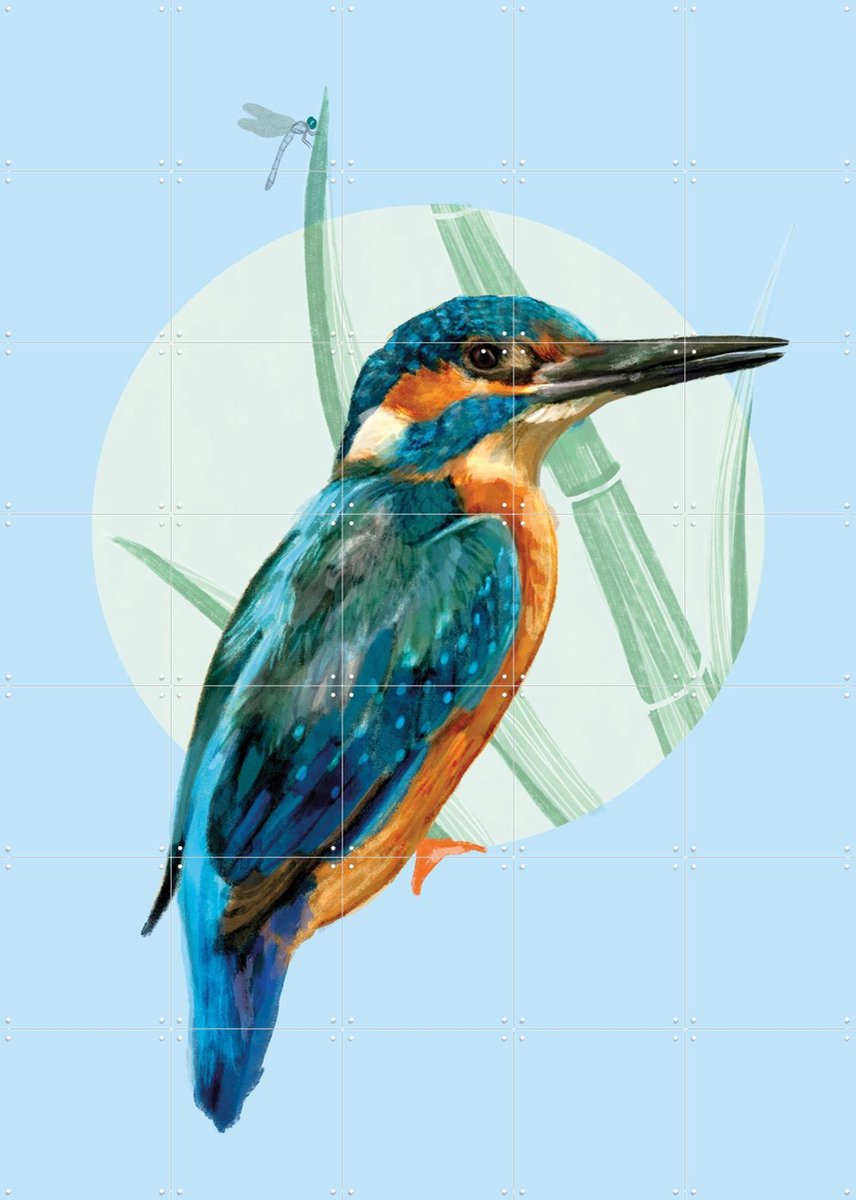 IXXI Ijsvogel, Esther Sepers - 100 x 140 cm - Gratis ophangtool - Grote wanddecoratie en posters - Kleurrijk, Illustraties, Aquarel, Speels, Realisme