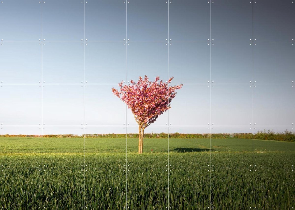 IXXI The Pink Tree, Claire Droppert - 140 x 100 cm - Gratis ophangtool - Grote wanddecoratie en posters - Fotografie, Gang, Slaapkamer, Woonkamer