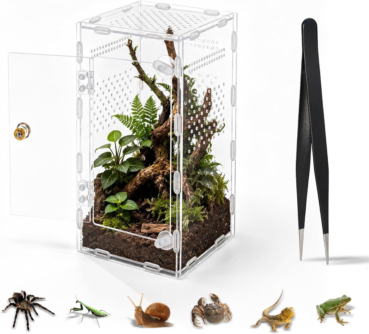 Faunarium, 15 x 14 x 25 cm, vivarium met luchtgaten Faunabox | Insectenterrarium, transparant acryl terrarium voor reptielen, amfibieën, springspinnen, vogelspinnen, slakken, kikkers