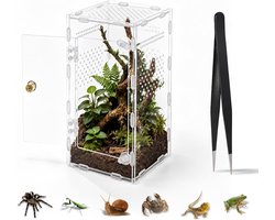 Faunarium, 15 x 14 x 25 cm, vivarium met luchtgaten Faunabox | Insectenterrarium, transparant acryl terrarium voor reptielen, amfibieën, springspinnen, vogelspinnen, slakken, kikkers