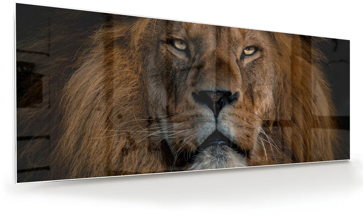 Mydesignglas Glazen Schilderij – Majestueuze Leeuw op Glas – Wanddecoratie op Gehard Glas - 80x30cm