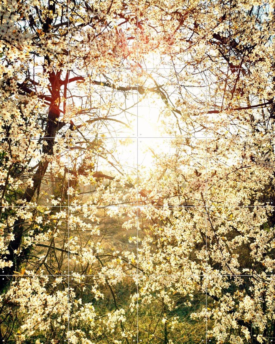 IXXI Hope, Angelo Cerantola - 80 x 100 cm - Gratis ophangtool - Grote wanddecoratie en posters - Fotografie, Studeerkamer, Gang, Slaapkamer, Lente
