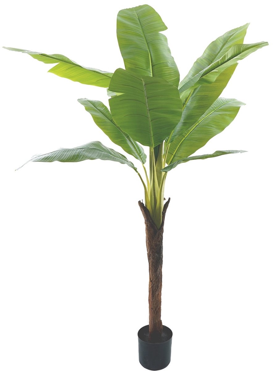 Kunstplant bananenboom 180cm