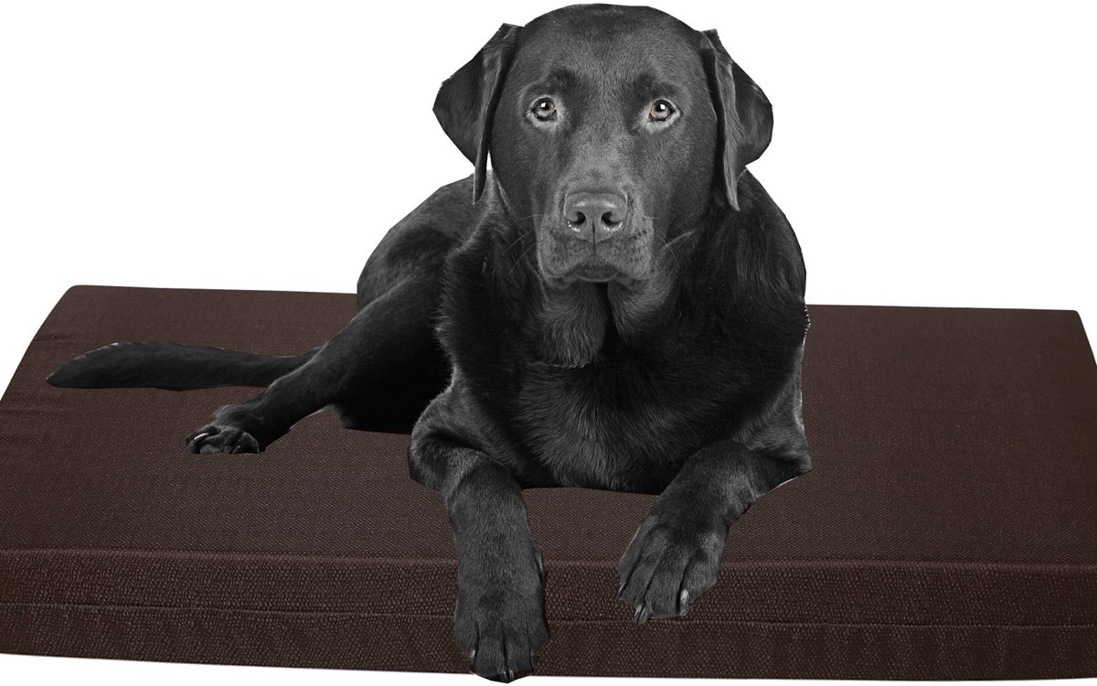 Solidchoice - Orthopedisch Hondbed van Geheugenfoam