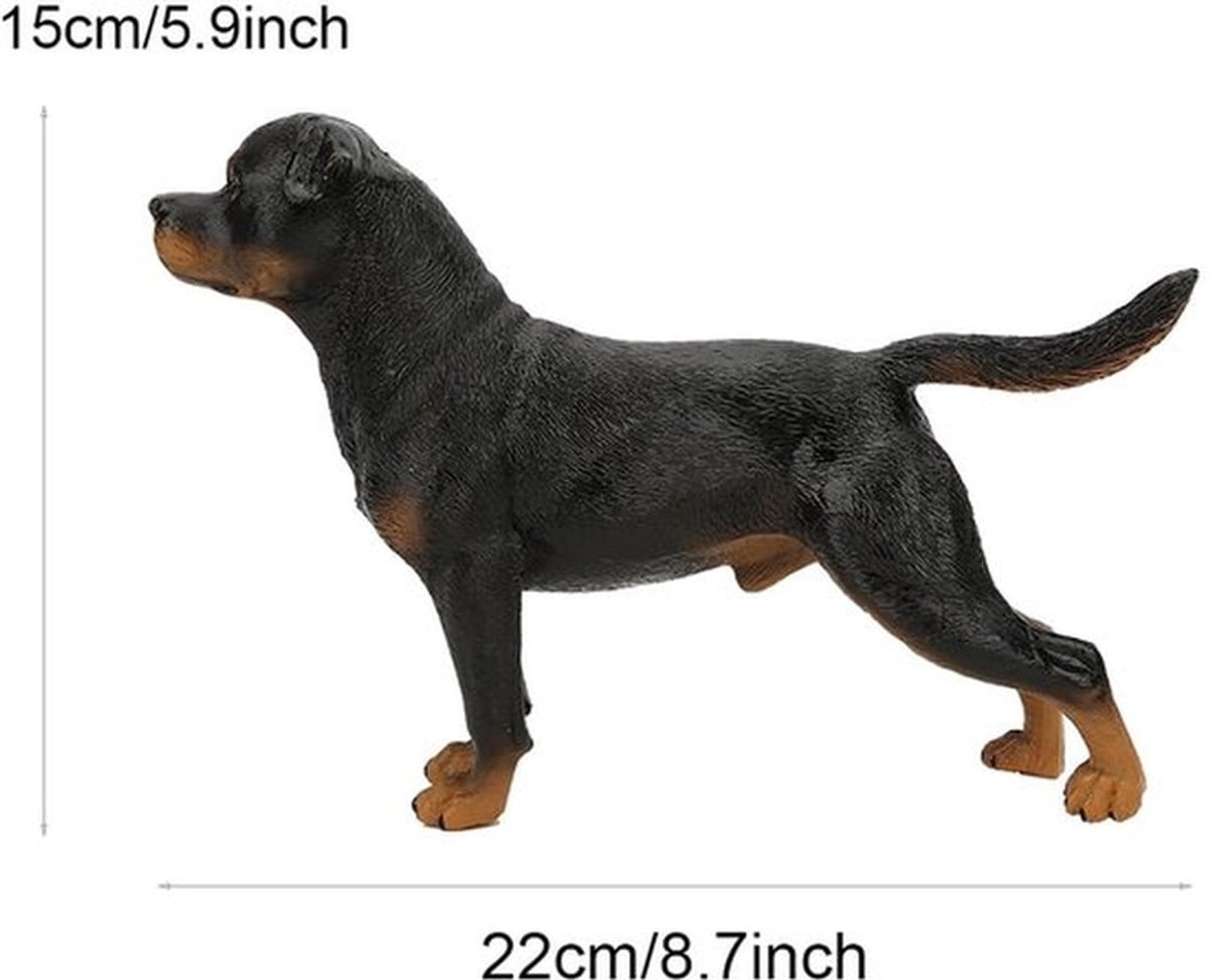 Rottweiler Beeldje Levensecht - Educatief Speelgoed - Decoratie - Model Ornament - Handgeschilderd - Prachtig Vakmanschap - Dierenbeeldje