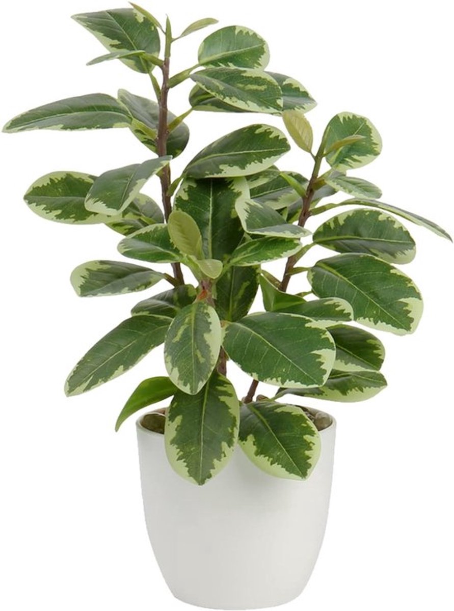 28 cm Kunstplanten in Pot voor Thuisdecoratie, Camelia Bloemarrangementen, Indoor Planten voor Kantoor en Balkon, Ideaal voor Tafeldecoratie en Bonsai Stijl