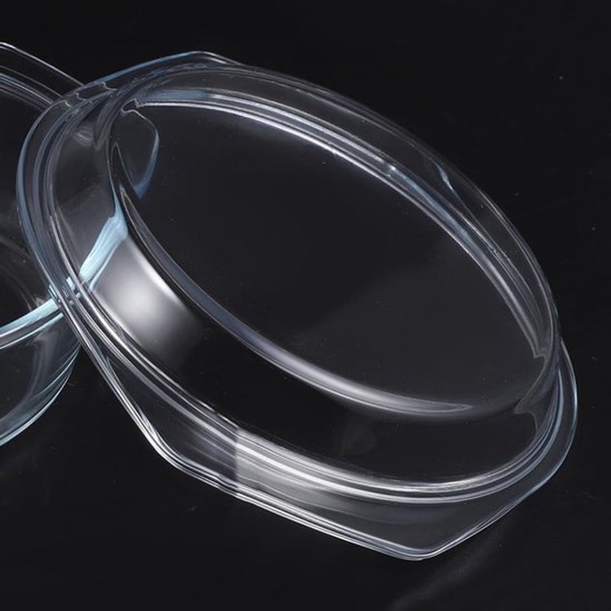 Magnetron Deksel Glas - Spatdeksel 26x23cm - Magnetrondeksel - Voedseldeksel - Herbruikbaar - Transparant
