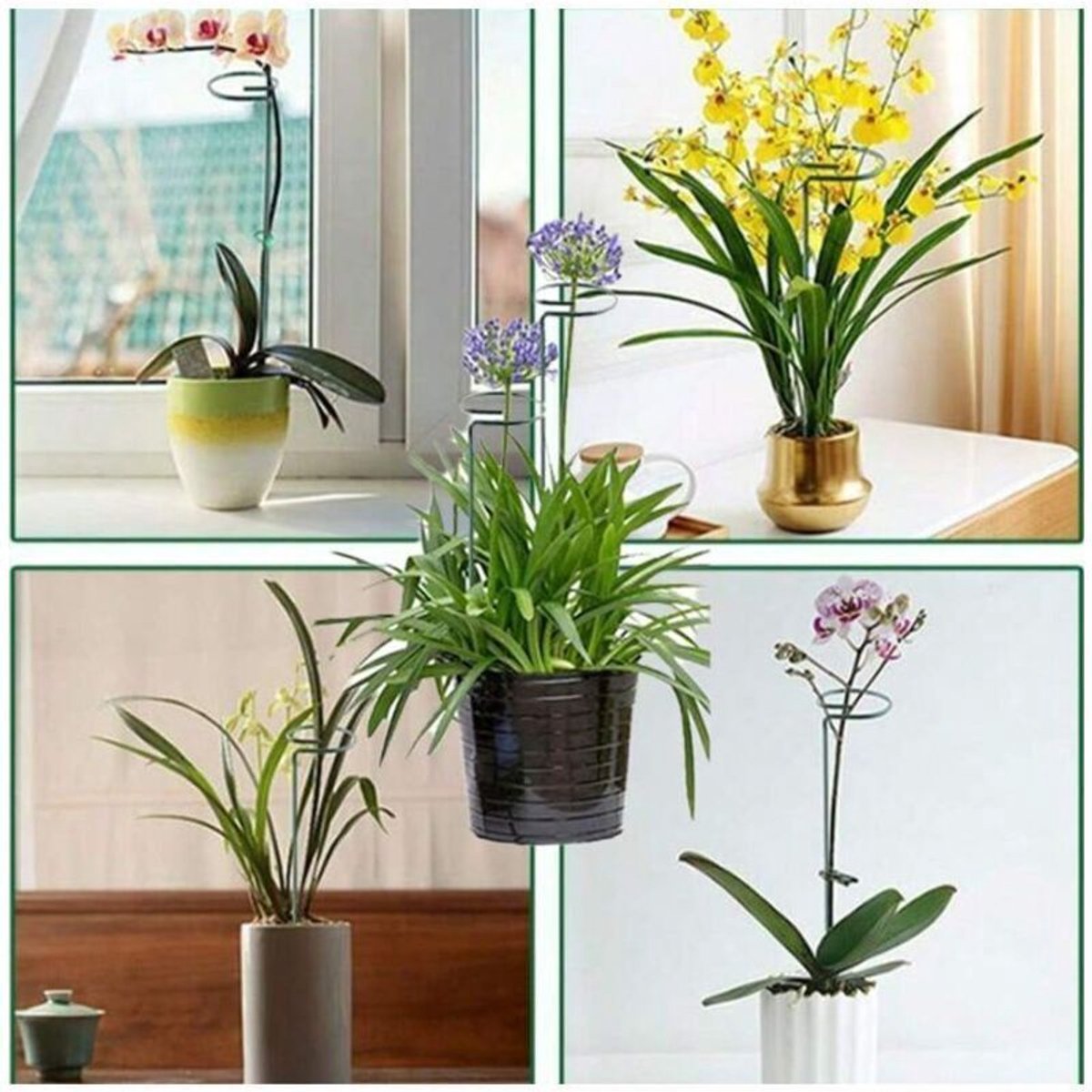 Een set van 6 ijzeren plantensteunen, een verhoogde tuinconstructie geschikt voor het ondersteunen van klimplanten in potten, een essentieel hulpmiddel geschikt voor tuinieren binnen en buiten (25 cm).