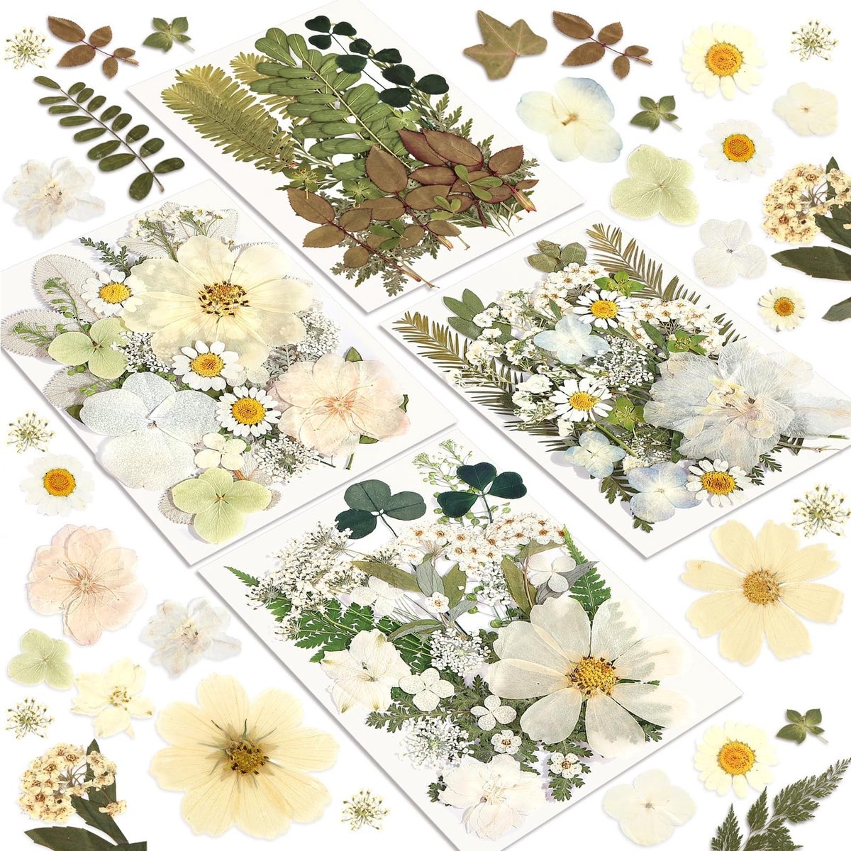 Solidchoice - Set van 100 Gedroogde Bloemen voor Resin en Creatieve Projecten