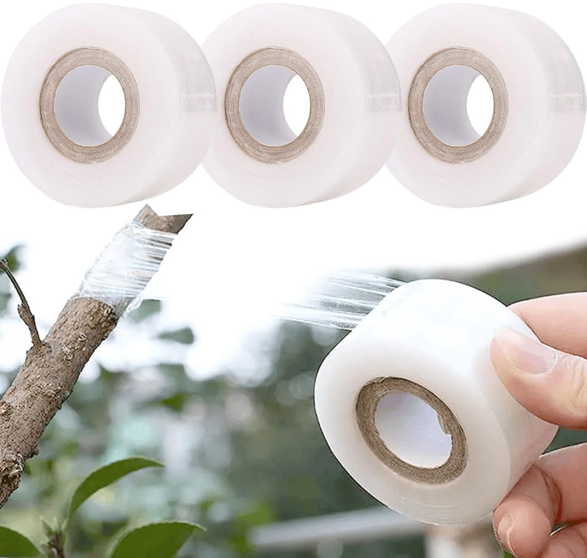 Veredelingsband 3 Rollen Transparant Rekbaar, 100m x 3cm voor Fruitbomen