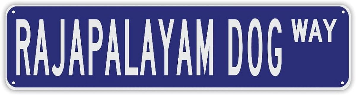 Gepersonaliseerd Huisnummer - Straatnaambord Metaal - Muurdecoratie Huis - Met Eigen Tekst - 24x6 Inch - Stijl 6