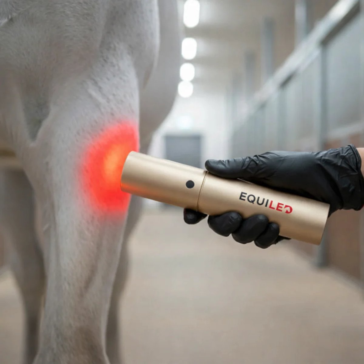 Equiled® Light Pro Hand Laser - Rode Licht Therapie Voor Paarden - Gerichte behandeling in handformaat - Diepe werking met 3 lichtgolflengtes - Tegen Spierpijn, Peesblessures & Wonden - Paarden Verzorging & Revalidatie