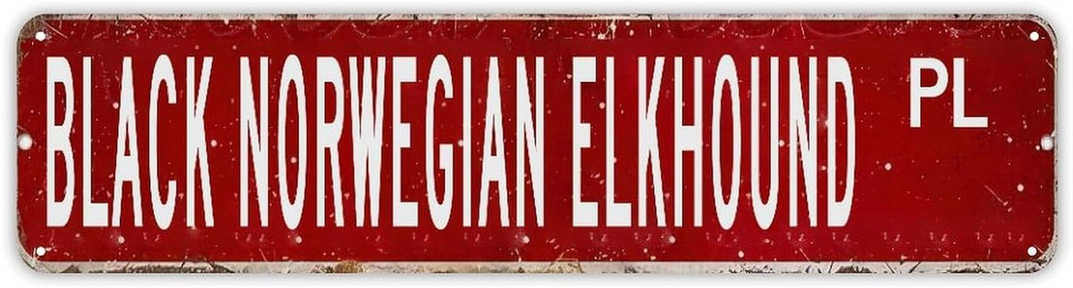 Gepersonaliseerd Naambord - Metalen Decoratie - Muur Decoratie - Op Maat Gemaakt - 24x6 Inch - Zwart