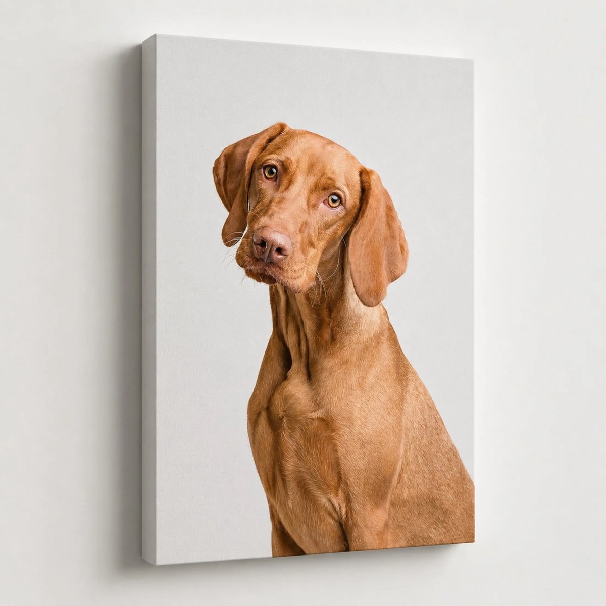Canvas foto 30x20 cm - Wanddecoratie - Magyar Vizsla 1 - Muurdecoratie woonkamer - Slaapkamer decoratie - Kamer accessoires - Foto op canvas