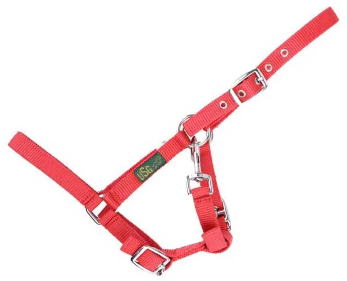 USG Veulenhalster Rood