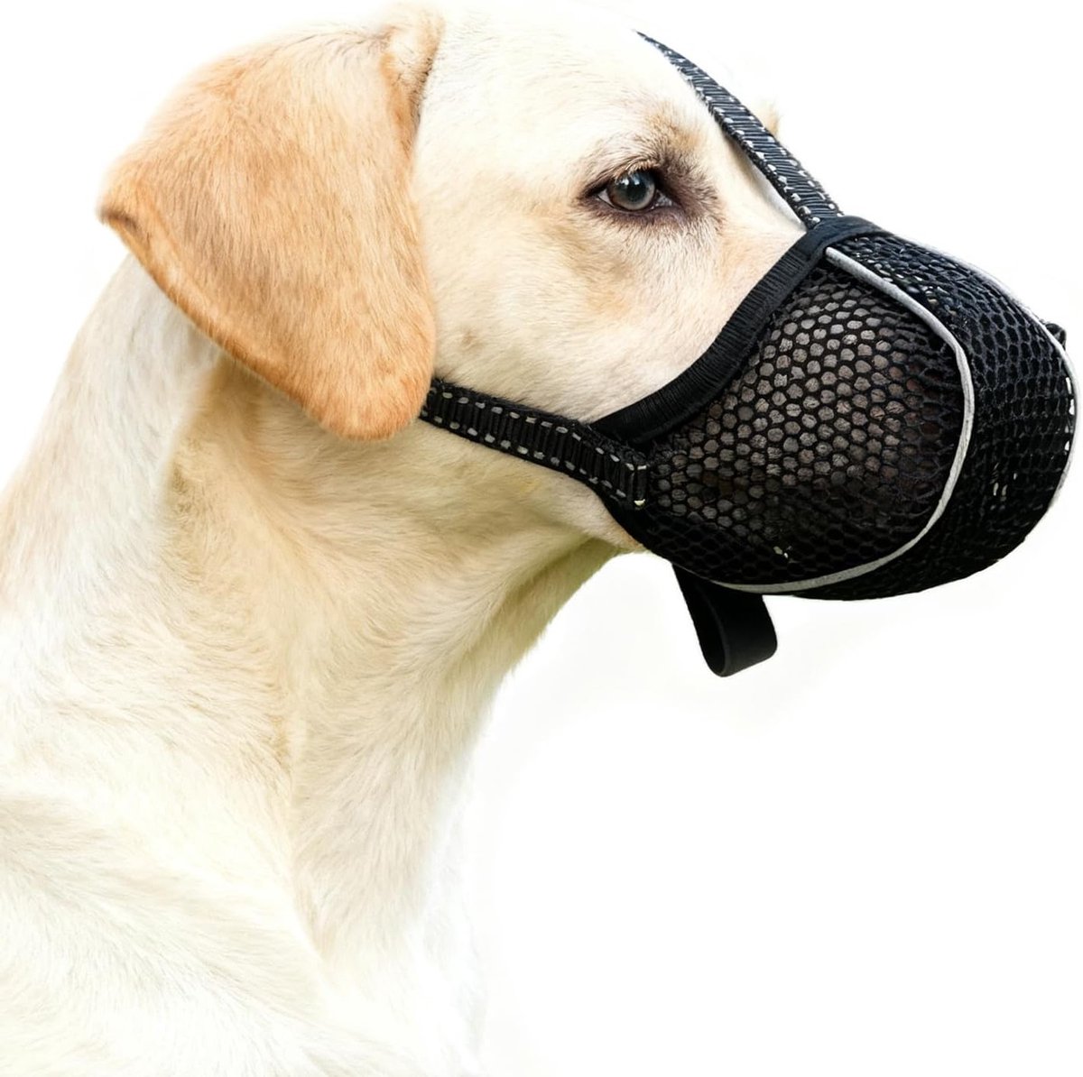 Zachte en Ademend Hondenmuilkorf voor Kleine, Middelgrote en Grote Honden - Bescherming Tegen Bijten, Likken en Kauwen (XL, Zwart)