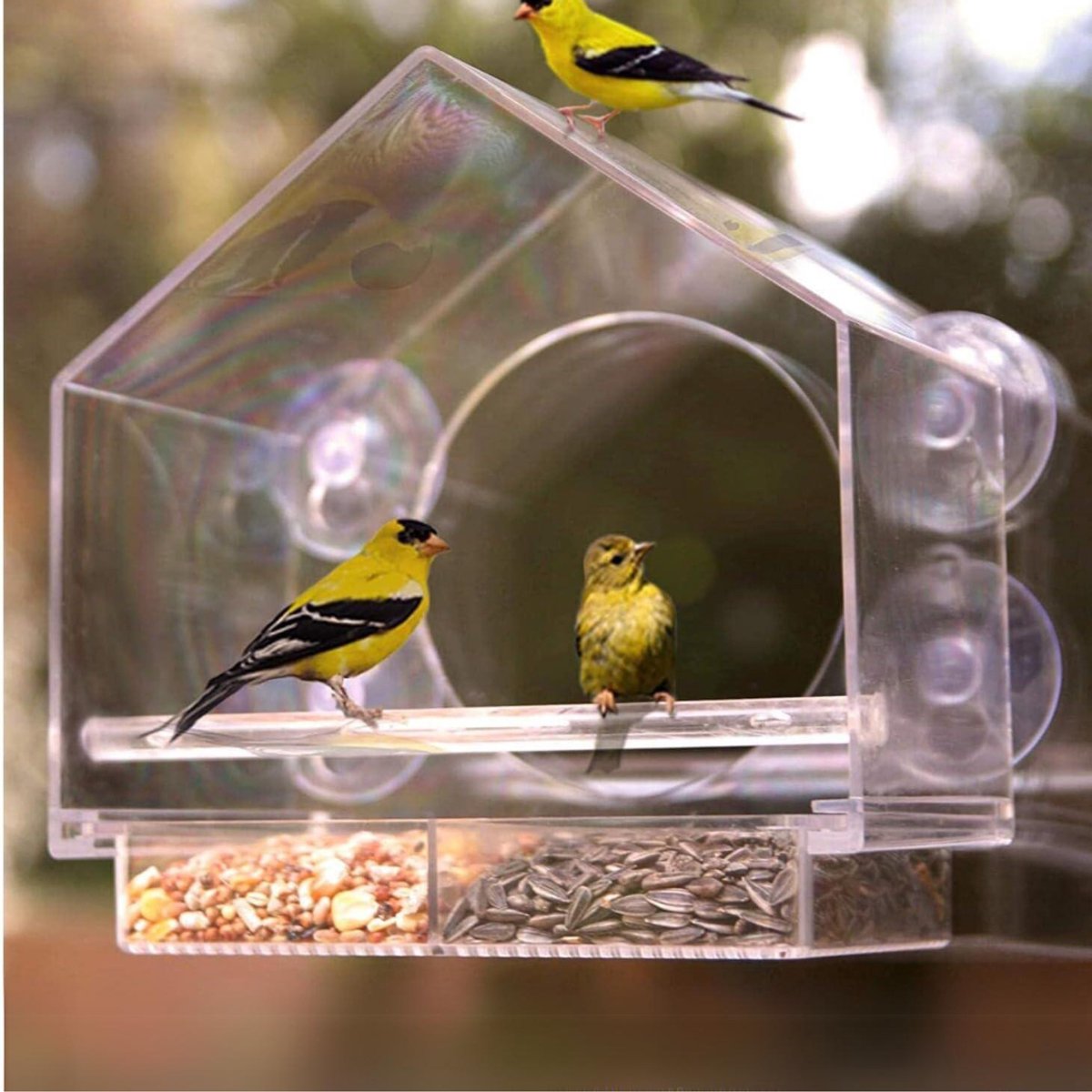 QUOVO® Raamvoederhuisje - Raamvoederhuisje Voor Vogels – Raamvoederbakje Met Zuignappen – Vogelvoederhuisje – Vogelhuisje Transparant – Vogelhuisjes - Transparant - 21cm x 20cm x 10cm