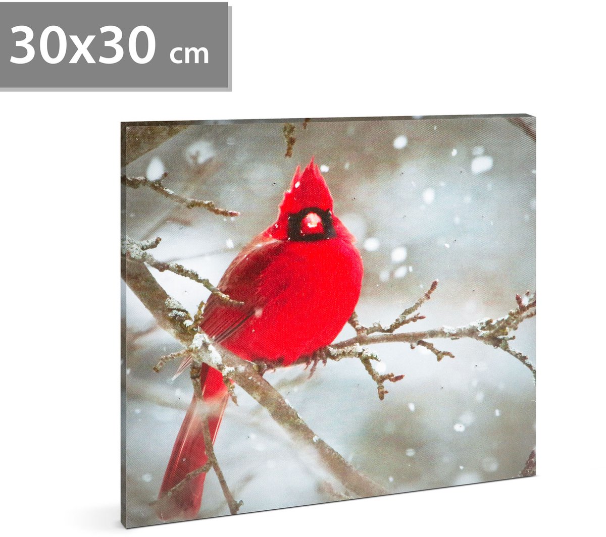LED-afbeelding - rode vink - 30 x 30 cm 1 Stuks [58478]