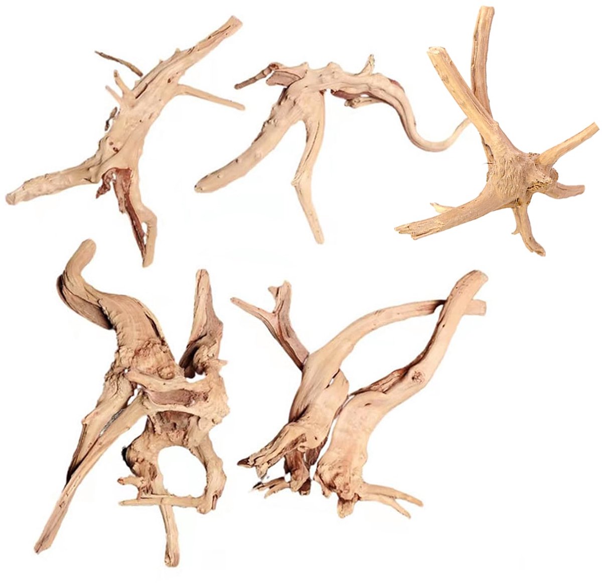 Aquarium drijfhout 3.9-5.9 inch - natuurlijke stam takken - diverse ornamenten - perfect voor terrarium inrichting - ShopVlot