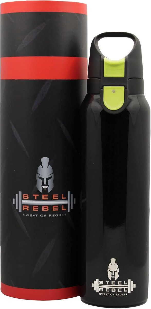 Drinkfles 550 ml - roestvrij staal - met vergrendelbaar deksel en geïntegreerd rietje - ideaal voor sport - ShopVlot