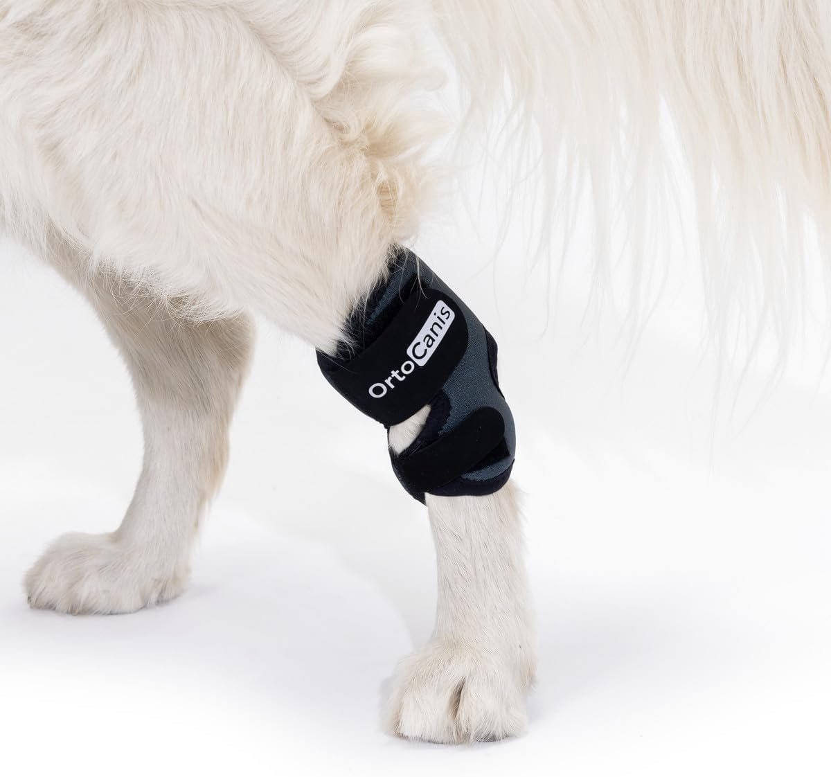 Hakensteun hond XXS - neopreen - 360º ondersteuning - pijnverlichting bij gewrichtsproblemen - ShopVlot
