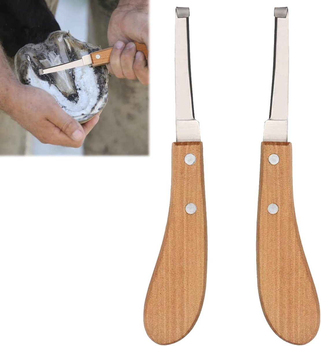 Hoefmes voor paarden, 2 stuks, 21,5 cm, paarden, accessoires, lusmes, roestvrij staal, hoefmes, scherp, rechts- en linkshandig voor gesneden paarden, ezel, koeien en hoeven
