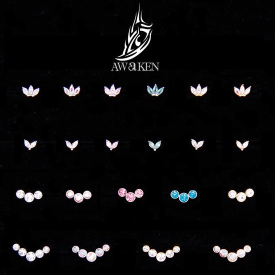 Piercing Labret Chirurgisch staal Intern schroefdraad Stud Oorbellen Studs Kraakbeen Helix Tragus Conch Medusa Daith Stud Piercing — afbeelding 2