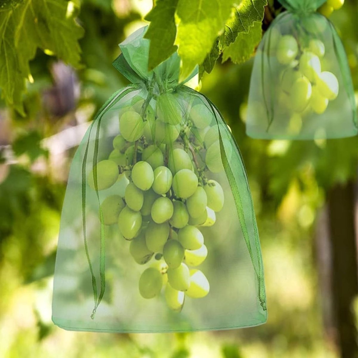 Verpakking van 100 organza beschermzakjes, 20x15 cm – Geschikt voor nylon trekkoord – hoge dichtheid, effectief tegen insecten en ziekteoverdracht.
