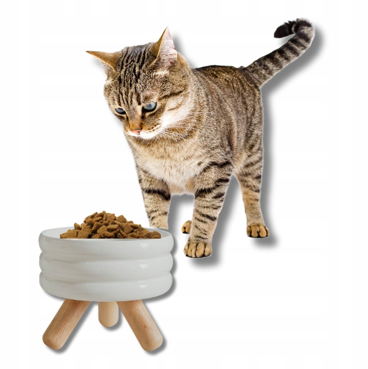 Verhoogde Keramische Kattenbak met Houten Standaard - 500ml